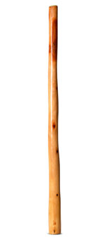 Ironbark Didgeridoo (IB267)